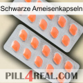 Black Ant Capsules 27